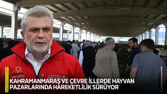 Kahramanmaraş ve çevre illerde hayvan pazarlarında hareketlilik