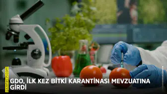 GDO, ilk kez bitki karantinası mevzuatına girdi!