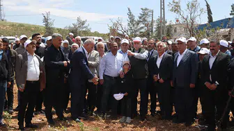 TZOB Genel Başkanı Şemsi Bayraktar, “380 bin dekar alan zarar gördü”