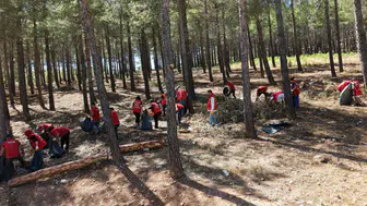 Kahramanmaraş’ta “Orman Benim” seferberliği başlıyor