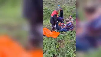 Mantar toplarken ayının saldırısına uğradı!