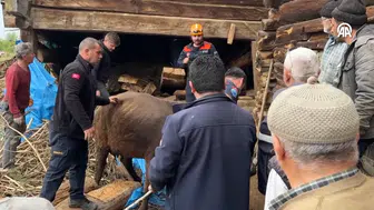 Ahır çöktü! Enkaz altında kalan kadın hayatını kaybetti