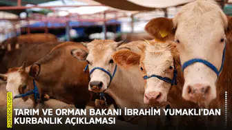 Tarım ve Orman Bakanı İbrahim Yumaklı’dan kurbanlık açıklaması