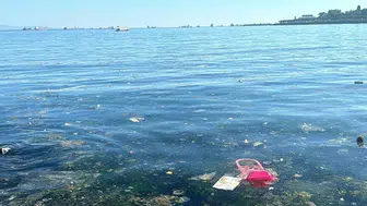 Tüketim alışkanlıkları deniz sağlığını da etkiliyor