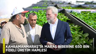 Kahramanmaraş’ta Maraş Biberine 650 bin fideli üretim hamlesi