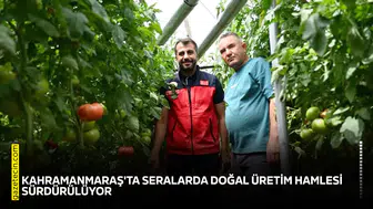 Kahramanmaraş'ta seralarda doğal üretim hamlesi sürdürülüyor
