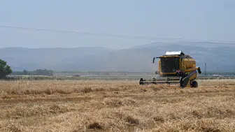 Güneydoğu’dan 5 ayda 1,5 milyar dolarlık hububat ihracatı yapıldı