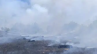 Park halindeki araçta çıkan yangın ormanlık alana sıçradı