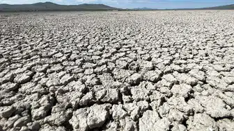 Kuraklaşmadaki artış biyolojik çeşitlilik ve insan yaşamını tehdit ediyor