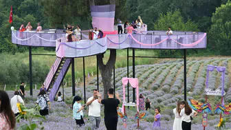 Osmaniye'de Lavanta ve Zeytin Çiçeği Festivali düzenlendi