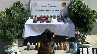 Narko Pars operasyonlarında 352 şüpheli yakalandı