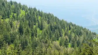 Çevreye 7 yılda toplam 4,41 milyar liralık yatırım