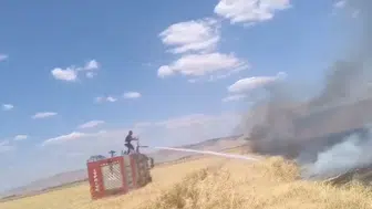 150 dönüm buğday ekili alan alev alev  yandı
