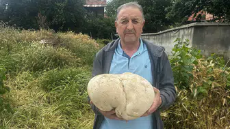 Çiftçi, bahçesinde 3 kilo 470 gram mantar buldu