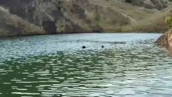 Sulama göletine giren bir çocuk daha boğuldu