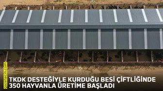TKDK desteğiyle kurduğu besi çiftliğinde 350 hayvanla üretime başladı