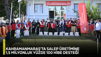 Kahramanmaraş'ta salep üretimine 1,5 milyonluk yüzde 100 hibe desteği