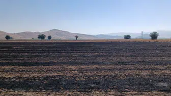 Anız yangınında 400 dönüm alan zarar gördü