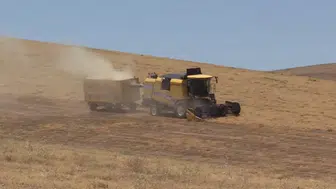 Güneydoğu'da biçerdöverler hububat ve bakliyat hasadı için tarlada