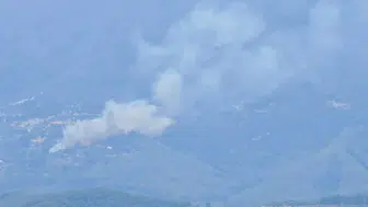 Antalya'da ormanlık alanda çıkan yangına müdahale ediliyor