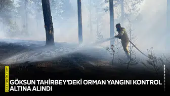 Göksun Tahirbey'deki orman yangını kontrol altına alındı