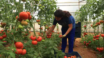 Batı Akdeniz'in yaş meyve ve sebze ihracatı yüzde 16,45 arttı
