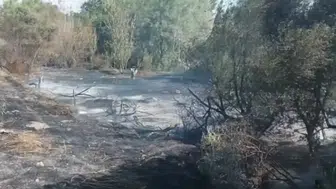 Başkentte bir günde 140 yangın