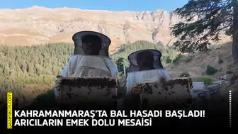 Kahramanmaraş’ta bal hasadı başladı! Arıcıların emek dolu mesaisi