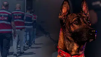 Diyarbakır’da dev uyuşturucu operasyonu!