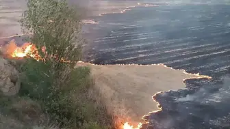 Anız yangınında 400 dekar tarım arazisi zarar gördü