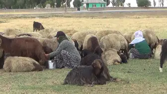 Yayladaki üç aylık mesainin ardından köye dönüş başladı