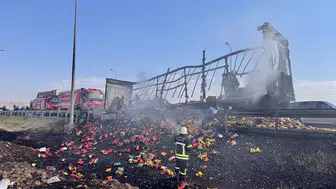 Kayseri'de seyir halindeki tırın cips yüklü dorsesi yandı