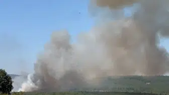 Bursa'da 3 farklı alanda çıkan orman yangınlarına müdahale ediliyor