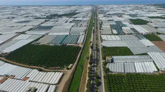 Antalya'da 200 bin dekarlık alandaki seralarda dönüşüm hamlesi