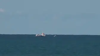 Gürcistan'dan kalkan özel uçak Rize açıklarında denize acil iniş yaptı