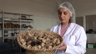 Coğrafi işaretli Taşköprü sarımsağından siyah püre üretti