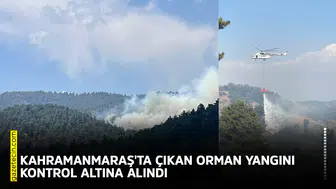 Kahramanmaraş'ta çıkan orman yangını kontrol altına alındı