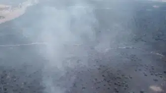 Elazığ'da ormana sıçrayan yangına müdahale ediliyor