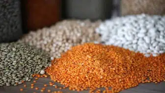 Güneydoğu Anadolu’dan 8 ayda 2,5 milyar dolarlık hububat ihracatı