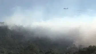 Muğla'da çıkan orman yangını! Ekipler sahada görevde