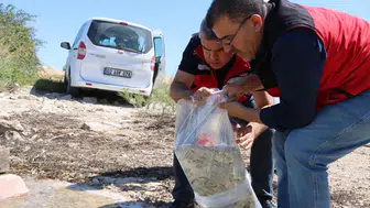Gaziantep'te iç sulara 1 milyon 98 bin yavru sazan bırakıldı