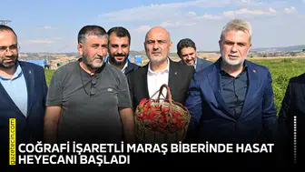 Coğrafi işaretli Maraş Biberinde hasat heyecanı başladı