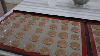 Çölyak hastaları için tescilli kayısı çekirdeğinden glütensiz bisküvi üretildi