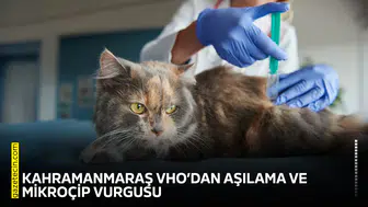 Kahramanmaraş VHO’dan aşılama ve mikroçip vurgusu