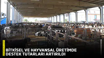 Bitkisel ve hayvansal üretimde destek tutarları artırıldı