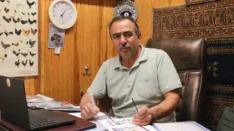 Yumurtada arz-talep dengesi sağlandı