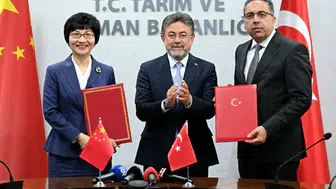 Türkiye ile Çin arasında defne yaprağı ihracatı için anlaşma sağlandı