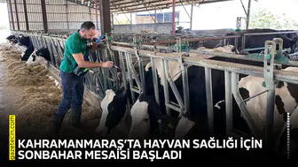 Kahramanmaraş’ta hayvan sağlığı için sonbahar mesaisi başladı