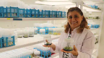 TÜBİTAK destekli projeyle yeni tohum çeşitleri geliştiriliyor