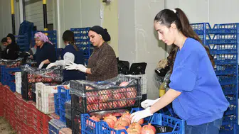 Batı Akdeniz'de 9 aylık yaş meyve ihracatı yüzde 53,5 arttı